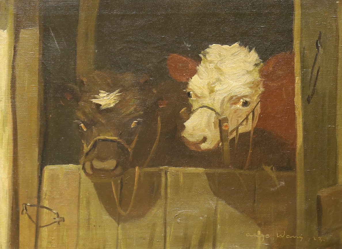 Aage Wang, i.e., Mark Osman Curtis (Danish, 1879-1959), oil on canvas, Two calves looking over a stable, signed and dated '24, 30 x 40cm